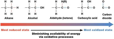 Oxidation states of carbon in organic molecules and energy availability