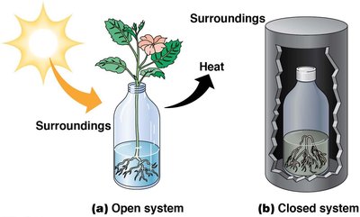 Open and closed systems in thermodynamics