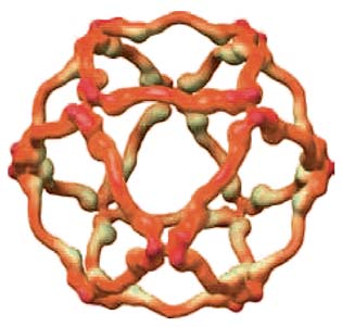 Formation of a COPII-coated vesicle
