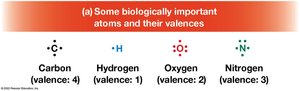 Biologically important atoms and their valences