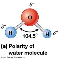 Polarity of water molecule
