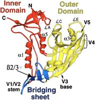 Protein structure