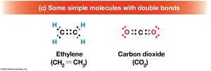 Simple molecules with double bonds