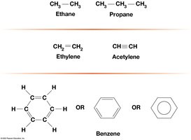 Examples of hydrocarbons and benzene ring