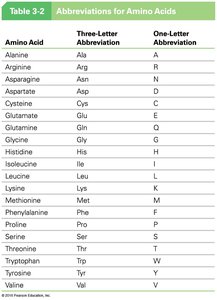Amino Acid Abbreviations Table