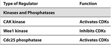 Kinases and phosphatases table