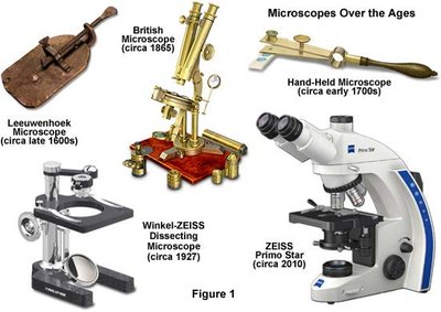 Microscopes over the ages, including Leeuwenhoek, British, Hand-held, Dissecting, and Modern ZEISS microscopes