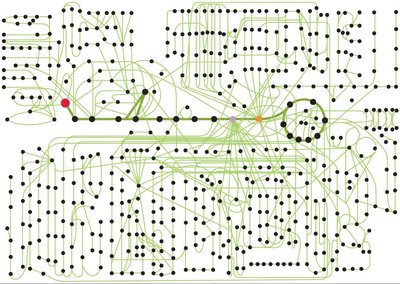 Diagram of interconnected metabolic pathways