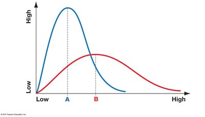 Kinetic energy distribution of molecules