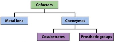 Cofactor classification