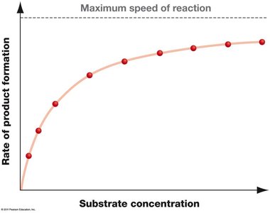 Saturation curve for substrate concentration