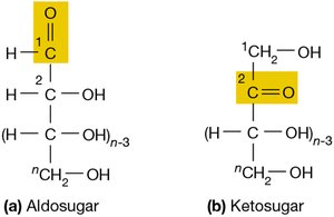 Aldosugar and Ketosugar structures