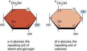 Alpha and Beta forms of D-glucose
