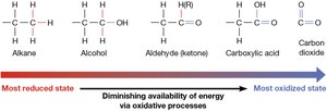 Redox states of carbon and energy availability