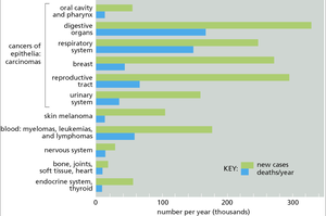 Bar graph showing incidence and mortality rates for different cancer types