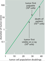 Graph showing tumor size versus cell population doublings