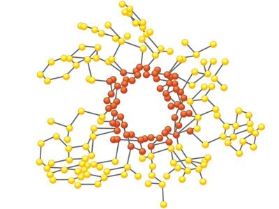 Valinomycin structure