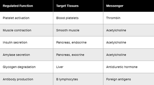Table of regulated functions, target tissues, and messengers