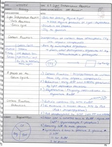 Calvin cycle diagram