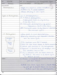 C4 photosynthesis pathway diagram