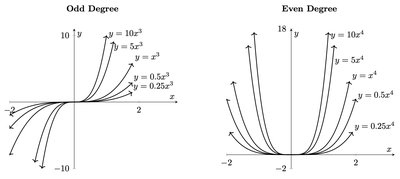 College Algebra Study Guide: Key Concepts & Graphs Explained | Notes