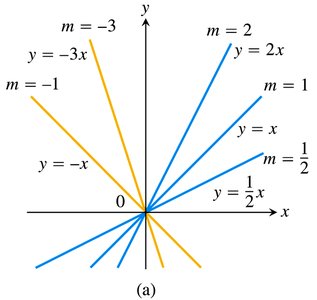 Polynomial function graphs