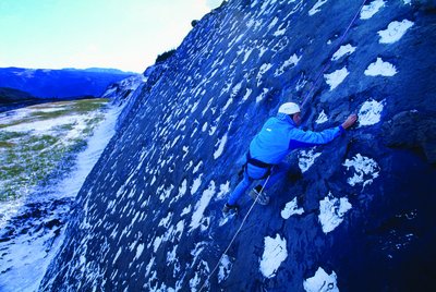 Dinosaur tracks, illustrating application of negative exponents in formulas