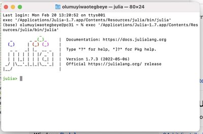 Julia command prompt
