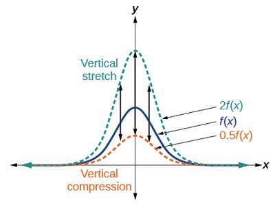 Graph of vertical stretches and compressions
