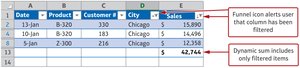 Excel table with filtered data and dynamic sum