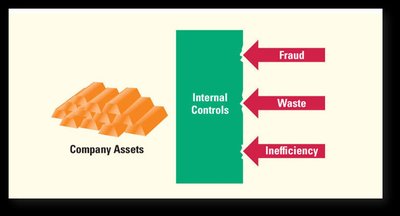 Internal controls protecting company assets from fraud, waste, and inefficiency