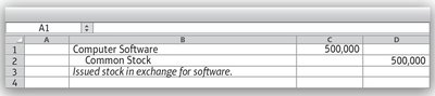 Balance sheet showing stock issued for software