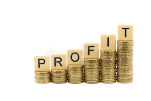 Private limited company paperwork