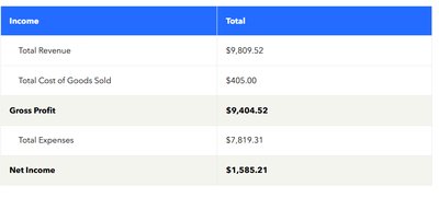 Sample income statement with gross profit and net income