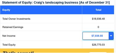 Statement of equity showing owner investments and net income