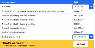Statement of cash flows with net income and cash activities
