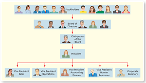 Structure of a corporation: stockholders, board of directors, president, and vice presidents