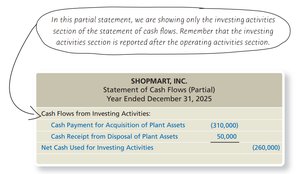 Partial statement for investing activities
