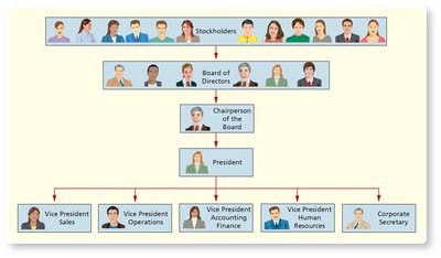 Organizational chart of a corporation