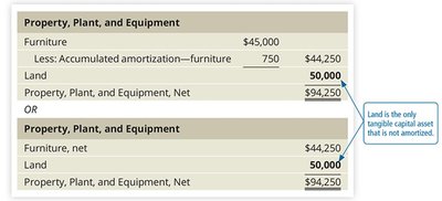 Partial Balance Sheet Showing Amortization