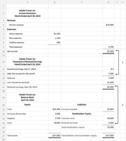 Financial statements for Alladin Travel, Inc.