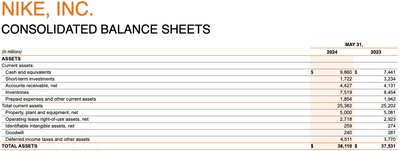 Nike, Inc. Consolidated Balance Sheet