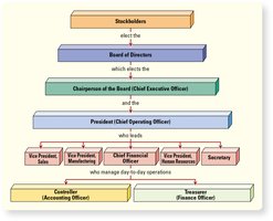 Corporate authority structure diagram