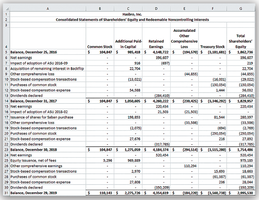 Formatted statement of stockholders' equity