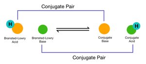 Diagram of conjugate acid-base pairs