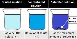 Comparison of diluted, concentrated, and saturated solutions