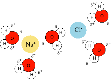Diagram of ions in solution for an electrolyte