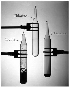 Photograph of chlorine, bromine, and iodine in sealed tubes