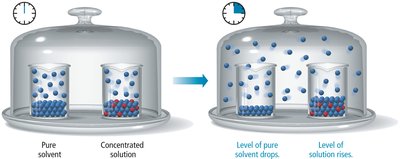 Pure solvent and concentrated solution under a bell jar