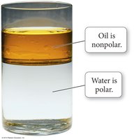 Oil and water immiscibility